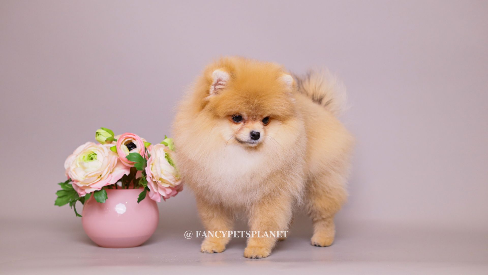 Valentina